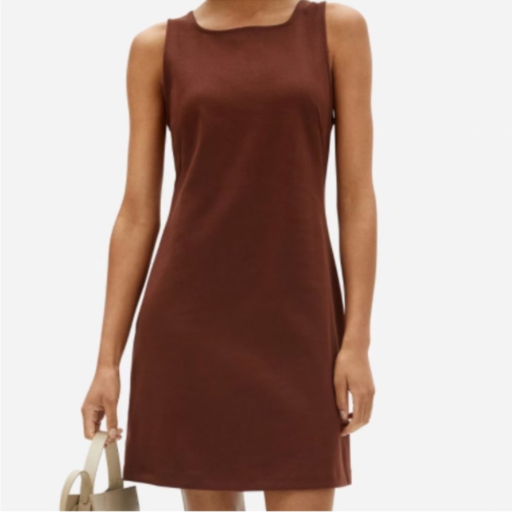 Everlane Party of One Dress